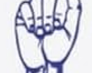 Omnisigns