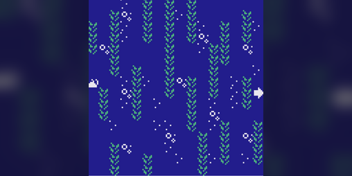Cover image for Nudibranch