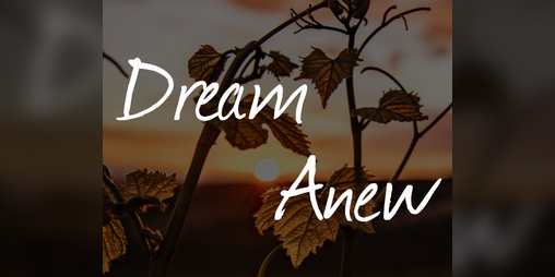 Cover image for Dream Anew