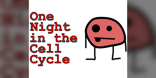 Cover image for One Night in the Cell Cycle