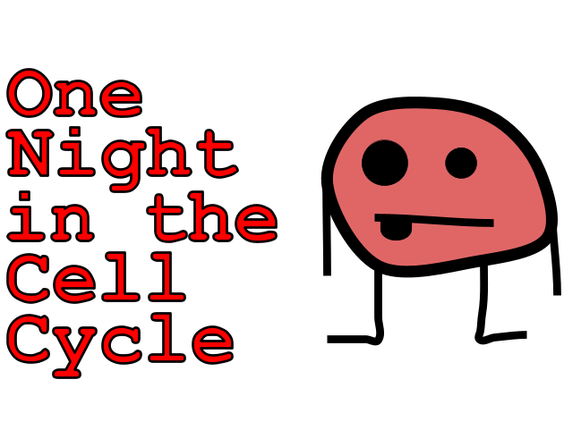Cover image for One Night in the Cell Cycle