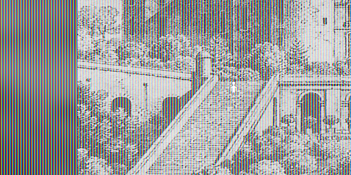 Cover image for confusion