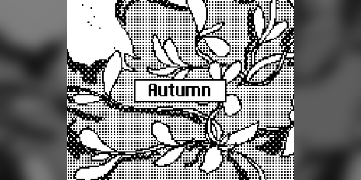 Cover image for Autumn