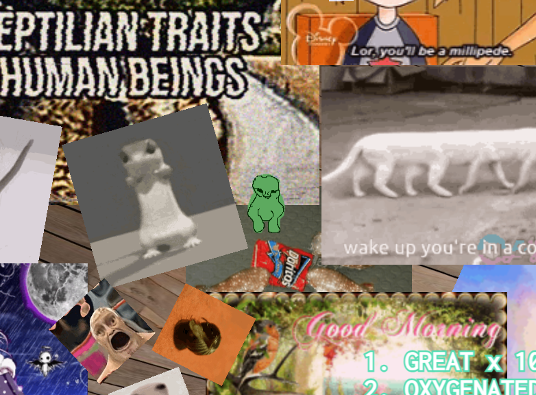 Cover image for 8 REPTILIAN TRAITS IN HUMAN BEINGS