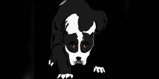 Cover image for DOGO