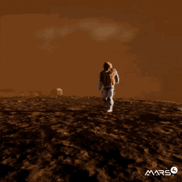 Mars introspection