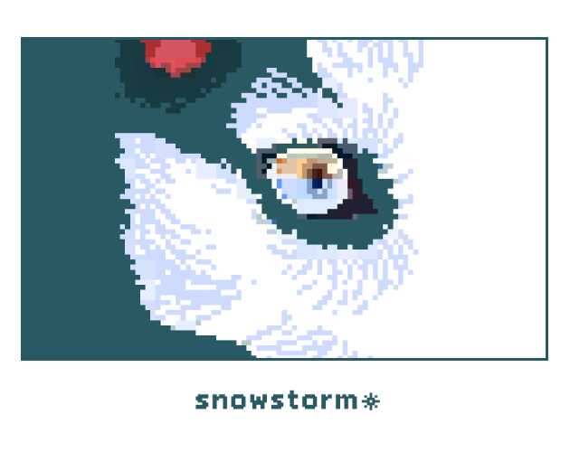 Cover image for snowstorm