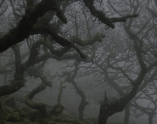 Dark Forest Milestone 2