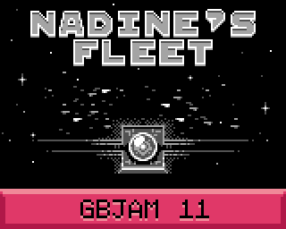 Cover image for Nadine's Fleet