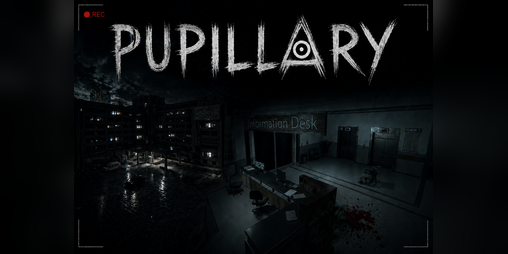 Cover image for PUPILLARY HORROR