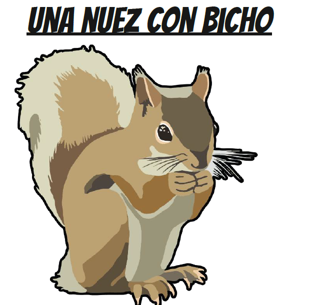 Cover image for Una nuez con bicho