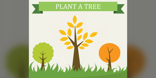 Cover image for Plant a tree