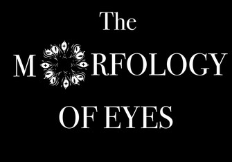 The Morphology of Eyes - Prologue