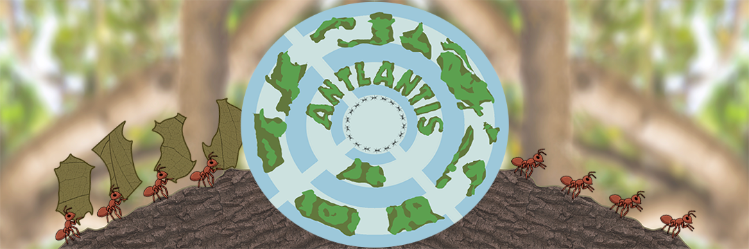 ANTlANTis