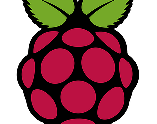 Raspberry Shooter