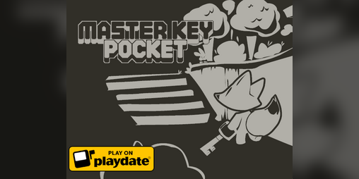 Cover image for Master Key Pocket