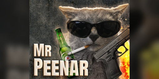 Cover image for Mr. Peenar