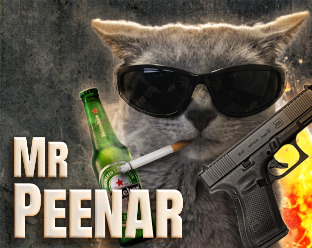 Cover image for Mr. Peenar