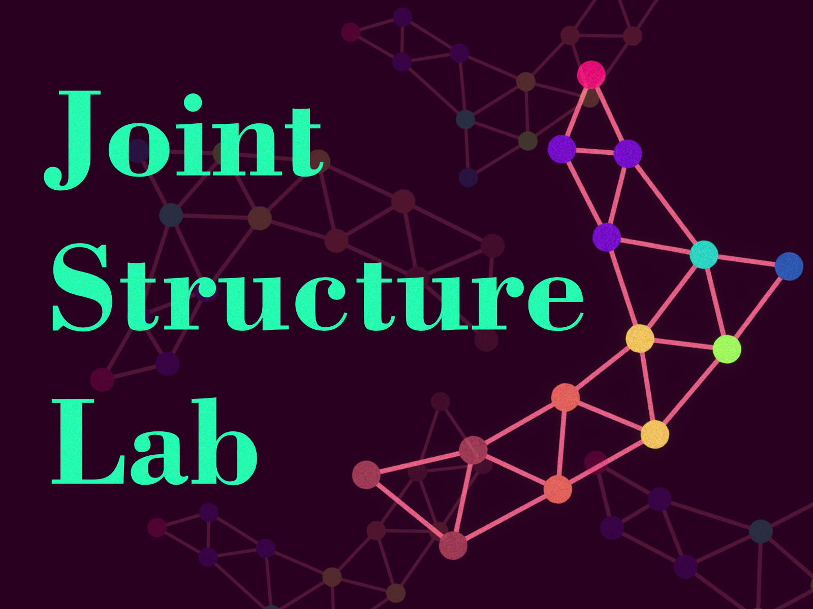 Joint Structure Lab