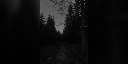 Cover image for The Devil You Know