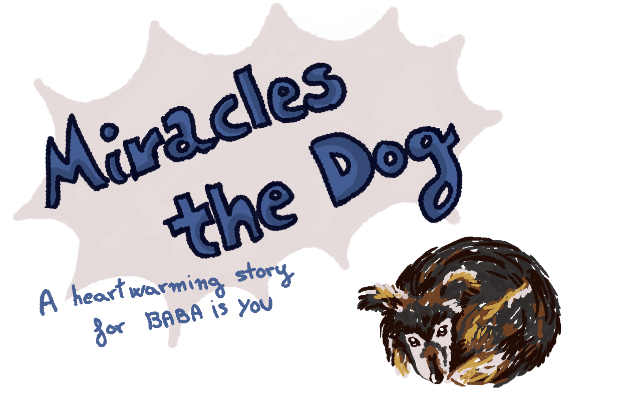 Miracles the Dog