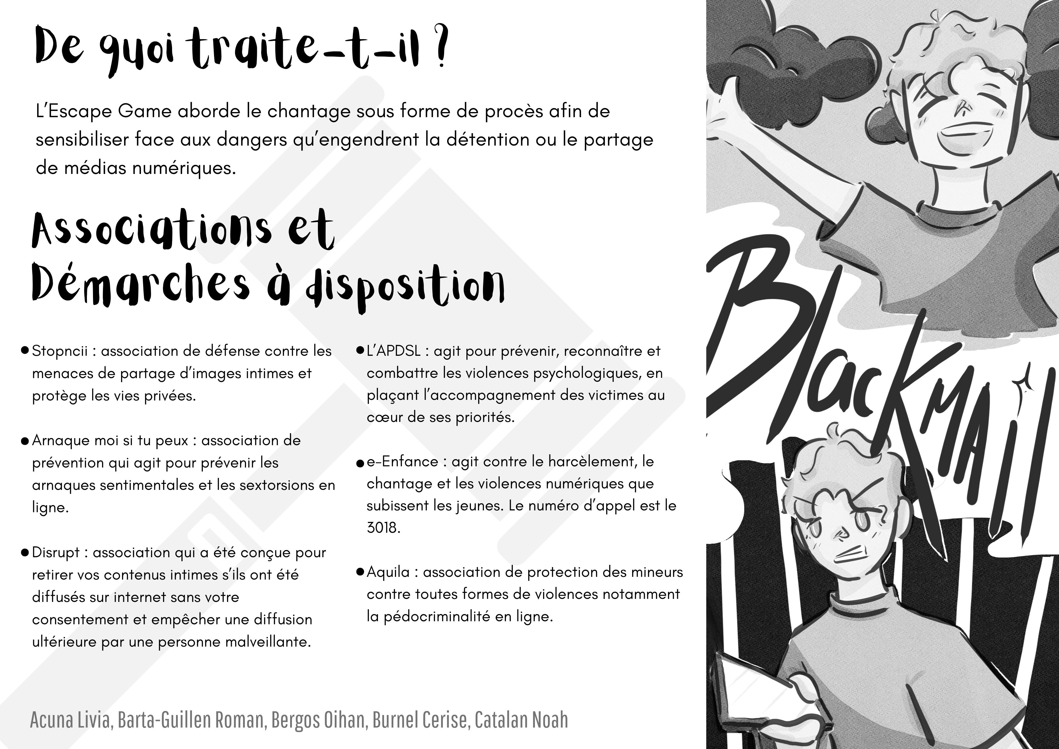 Flyer1