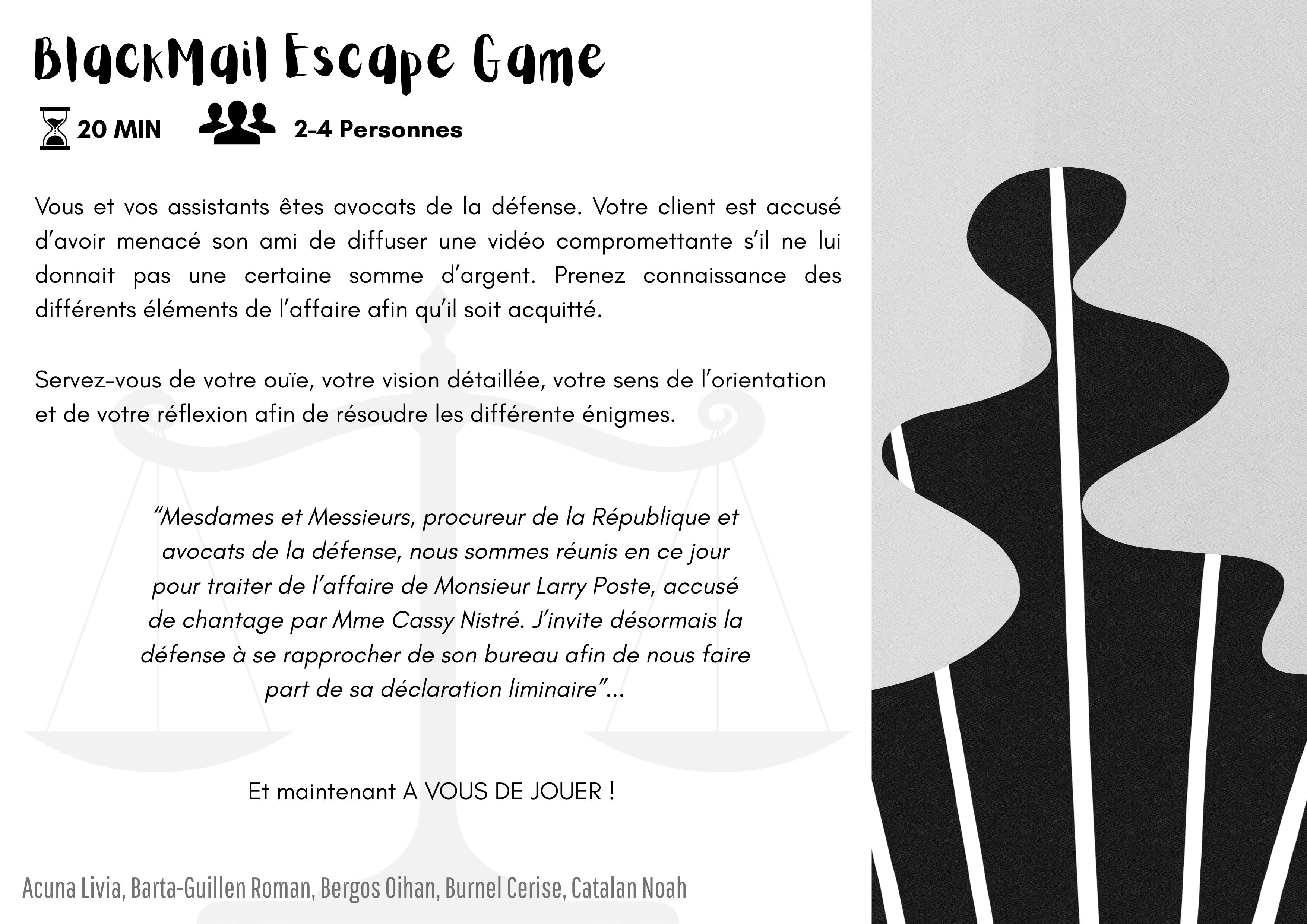 Flyer2