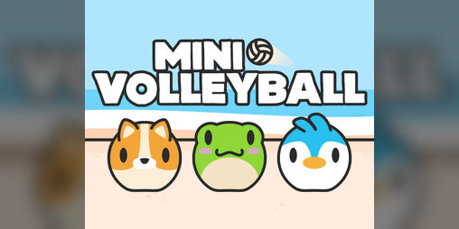 Cover image for Mini Volleyball