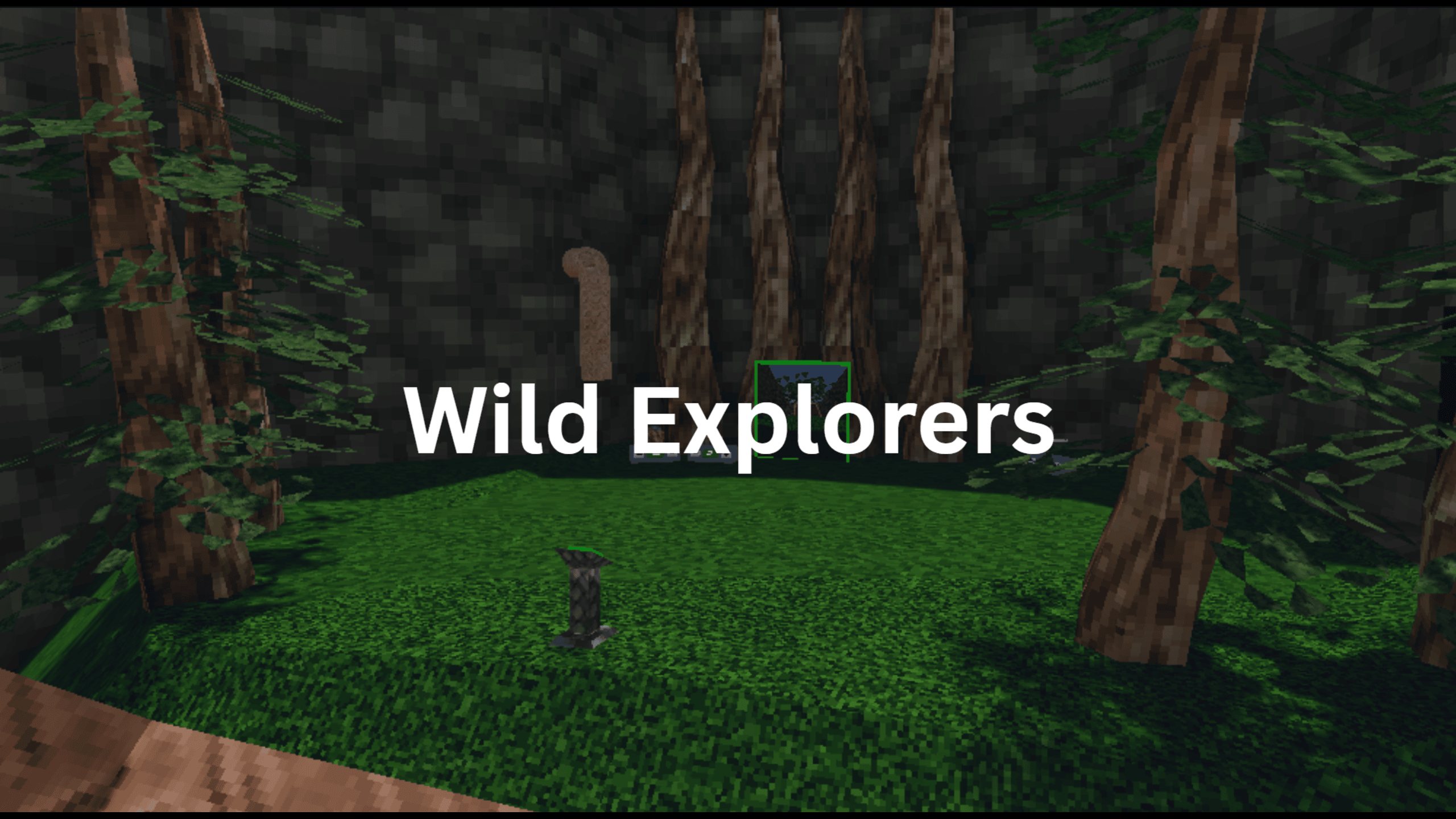 Wild Explorers