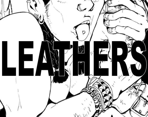 Cover image for Leathers