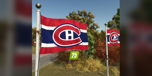 Cover image for Montreal Canadian Flag