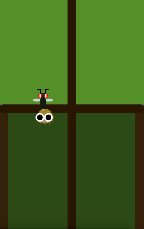 Male Bolas Spider Simulator