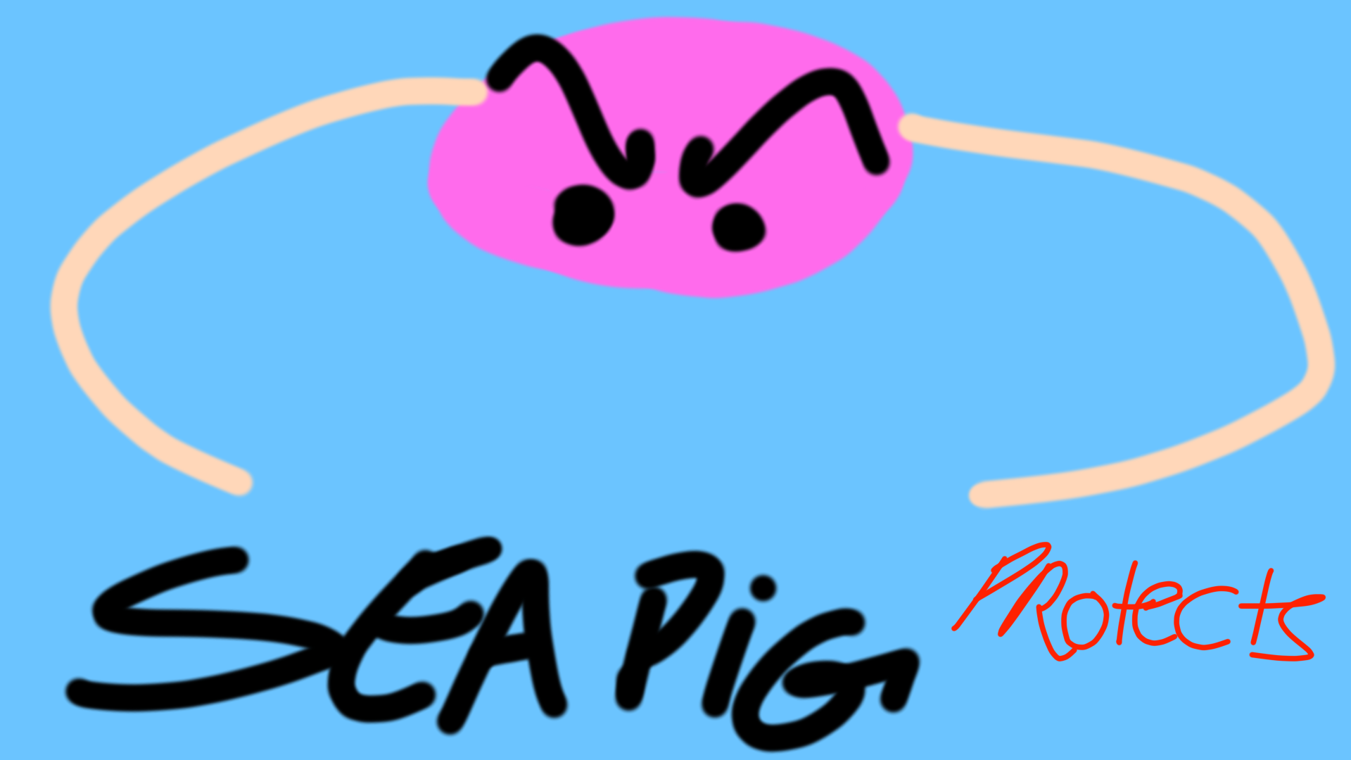 Sea Pig PROTECTS