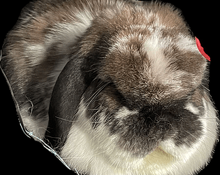 Gus Simulator [Free] [Survival]