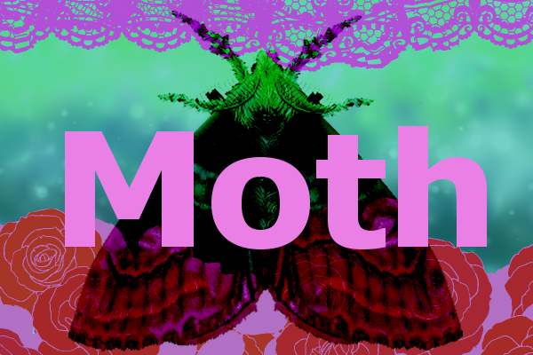 Cover image for Moth pew pew