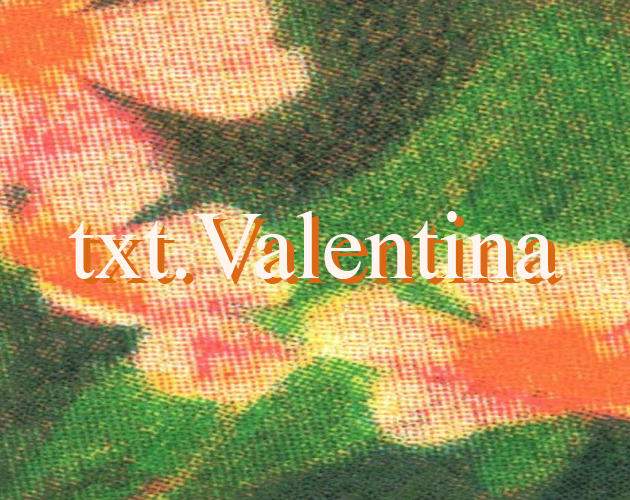 Cover image for txt.Valentina