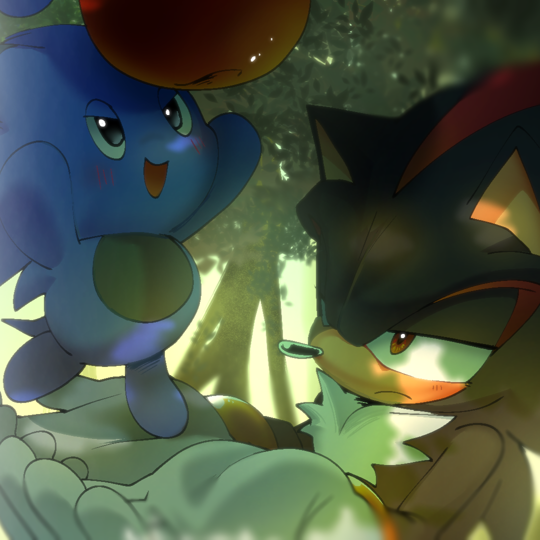 Cover image for SONIC THE CHAO!