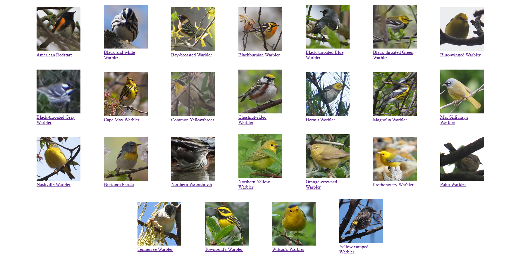 Cover image for Warble