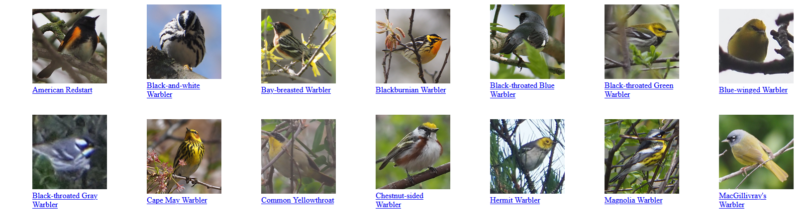 Warble