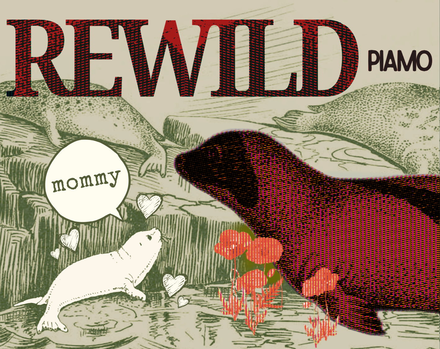 Cover image for REWILD