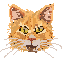 Cover image for Wild Cat