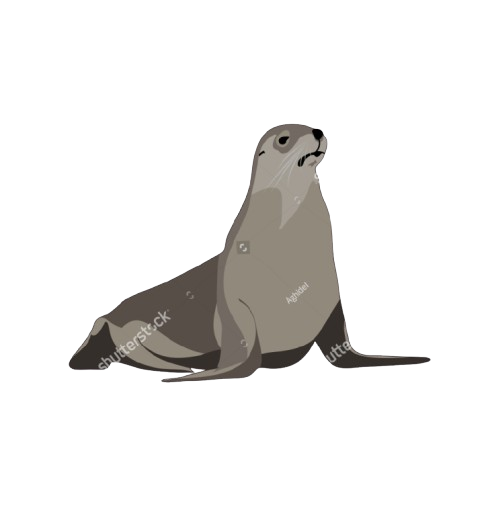 simulador de focas