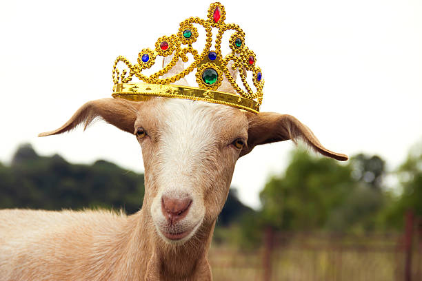 Long Live the GOAT