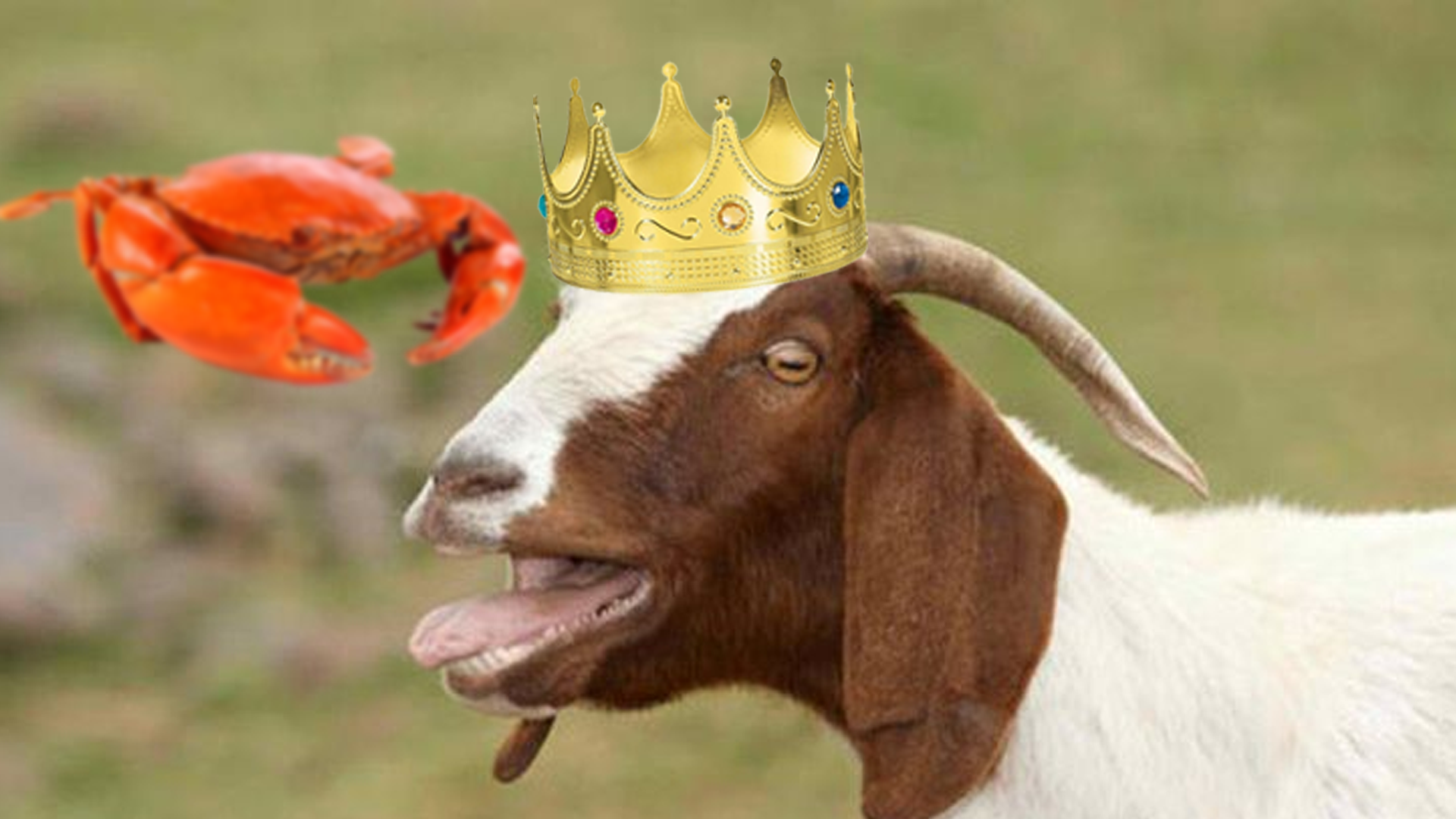 The Goat's Crown