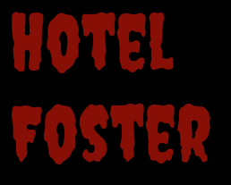Cover image for Hotel Foster