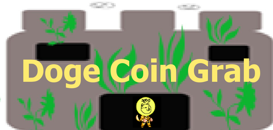 Doge coin grab