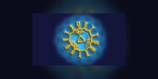 Cover image for Particle lenia!