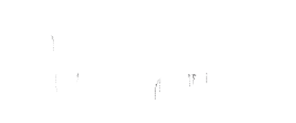 TankDrivers