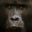 Project Ape