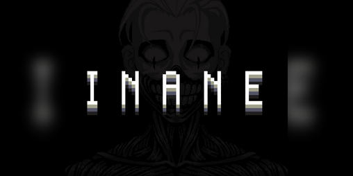 Cover image for INANE